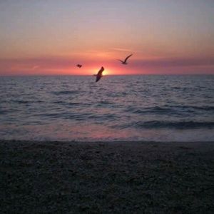 Meet your Posher, Frank